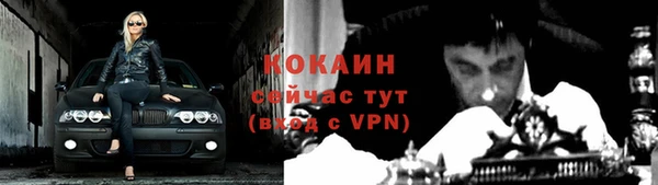 твердый Абаза