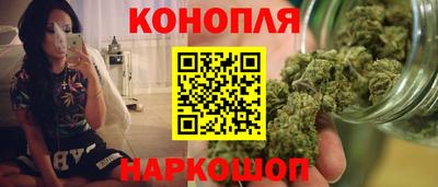 стафф Можга