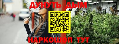 стафф Можга